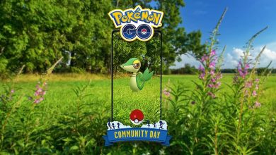 Community Day