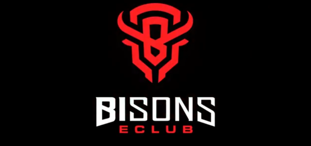 Bisons