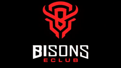 Bisons