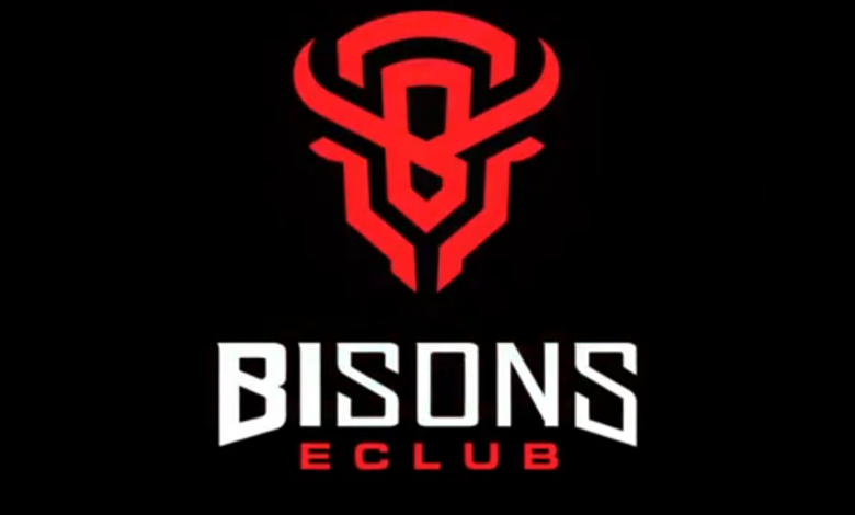 Bisons