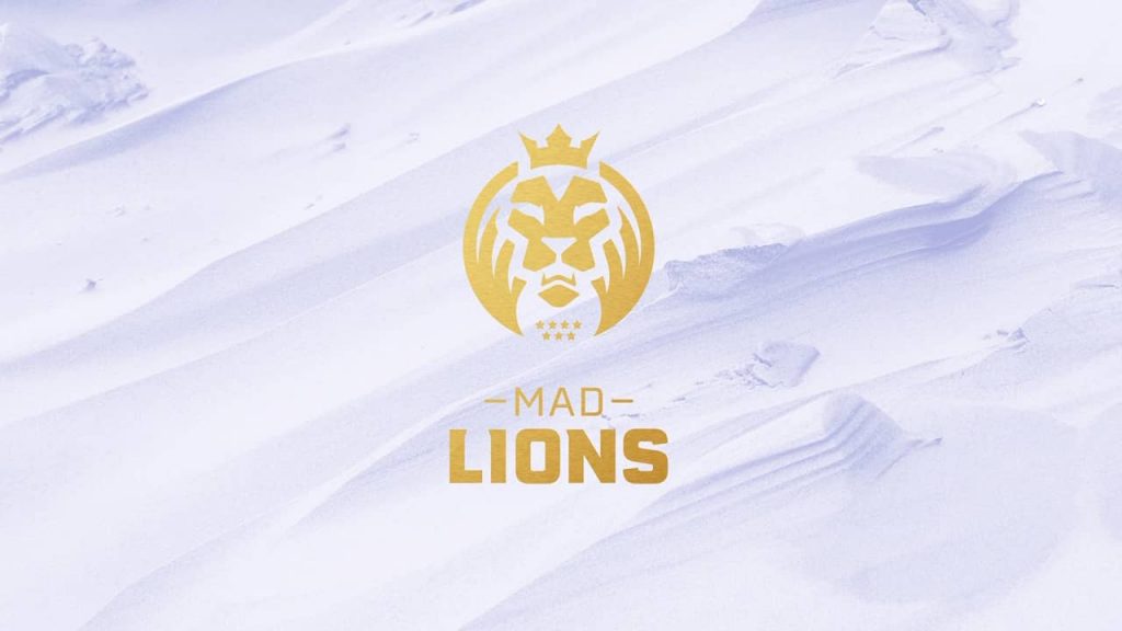 mad lions