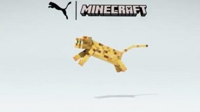 Minecraft x Puma