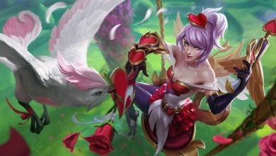 Quinn rework