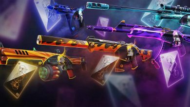 Team Ace skins valorant