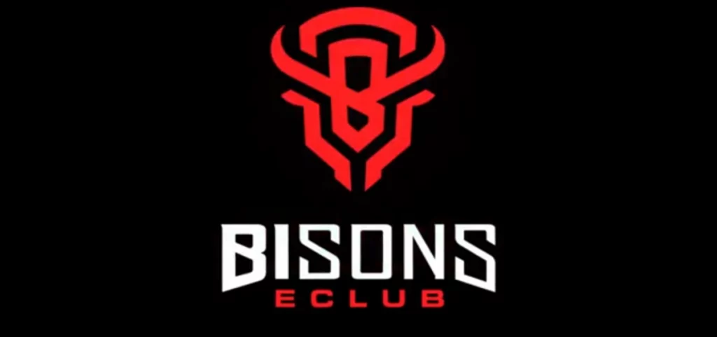 BISONS