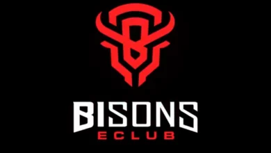 BISONS