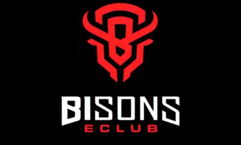 BISONS