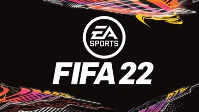 fifa 2022