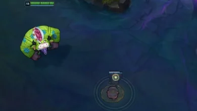 ward bug