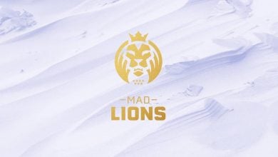 mad lions