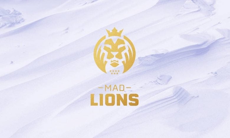 mad lions