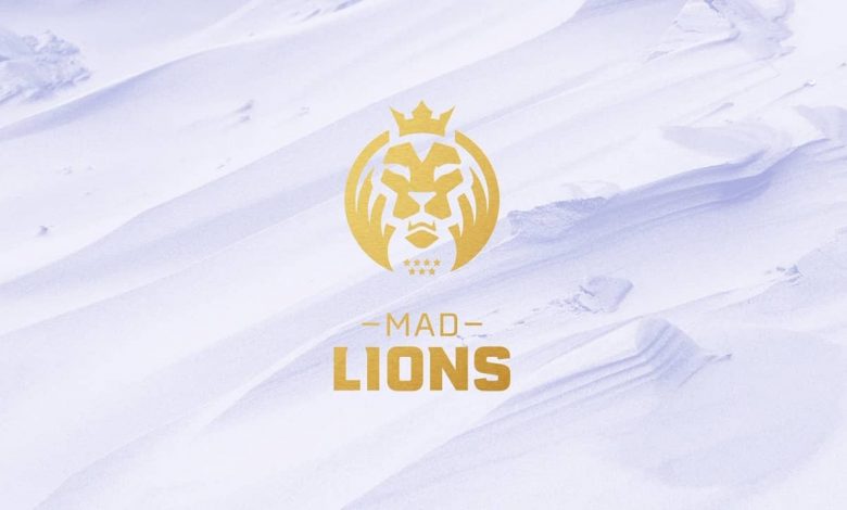 mad lions