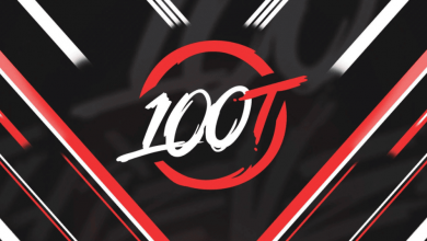 100 thieves