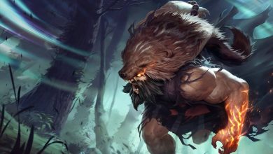 rework udyr