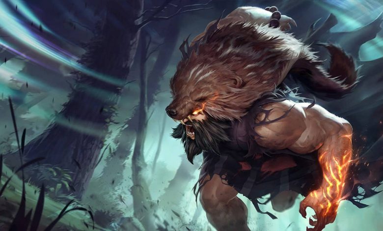 rework udyr