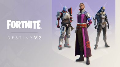 Fortnite x Destiny