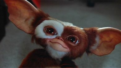 gizmo