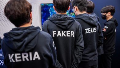 faker