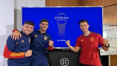 Stream-World-Cup-TheGrefg