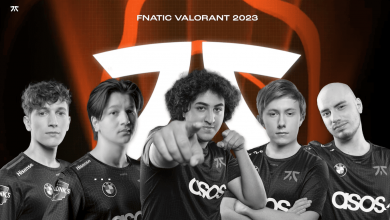 fnatic vct