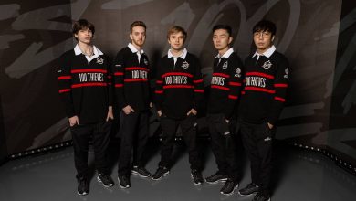 tenacity 100 thieves