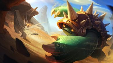 rammus parche 13.5